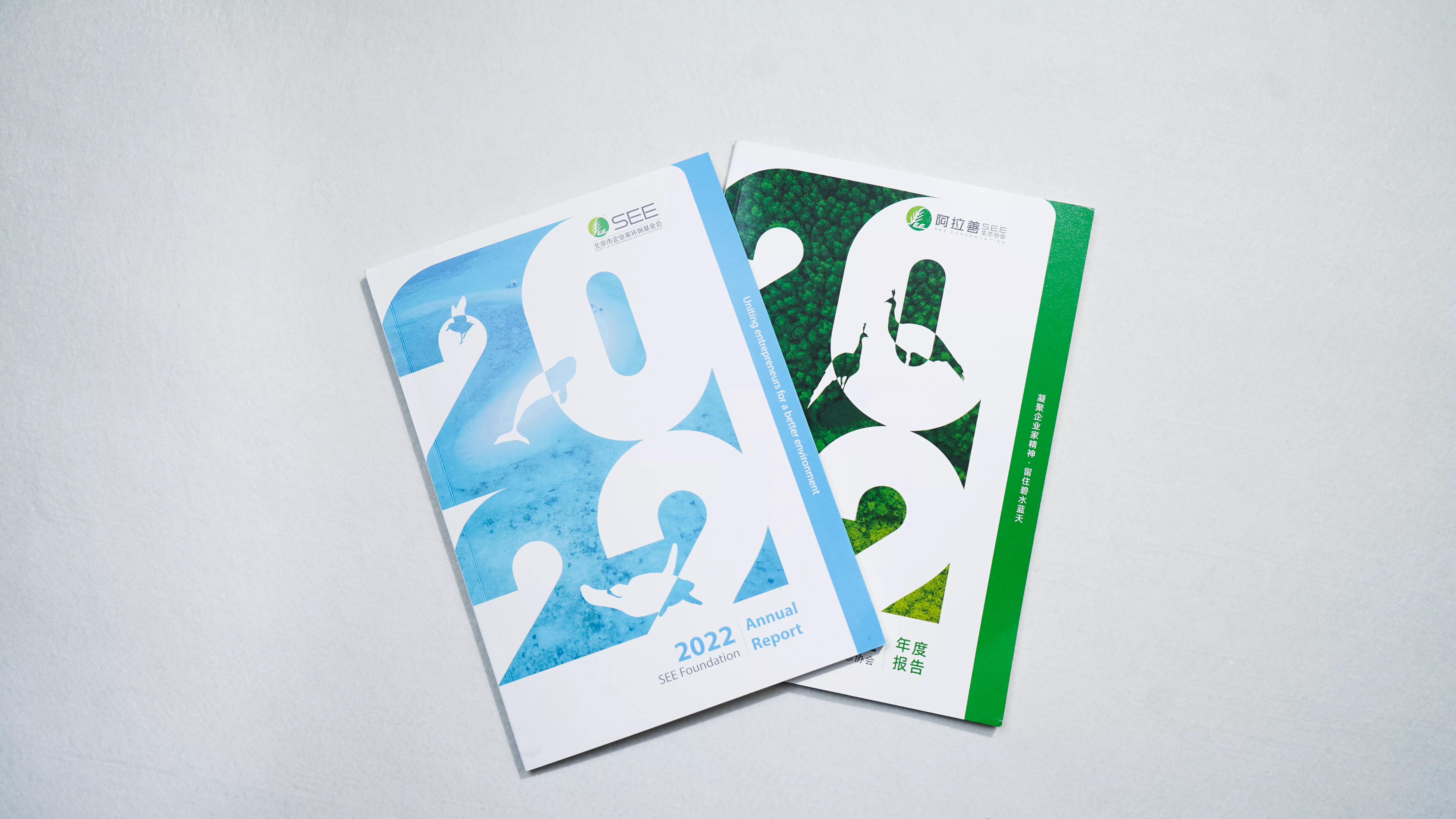 阿拉善 · 年报